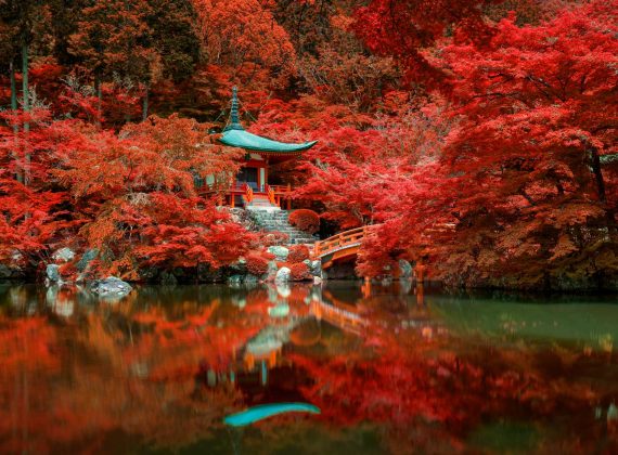 autumn-foliage-at-daigo-ji-temple-kyoto-japan-DNMX6GE.jpg