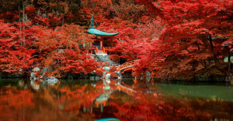 autumn-foliage-at-daigo-ji-temple-kyoto-japan-DNMX6GE.jpg