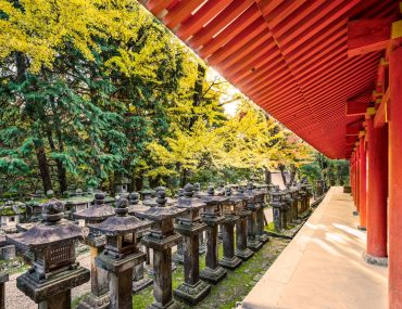 japanese-stone-lanterns-PY25KMW.jpg